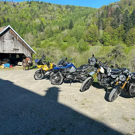 אורחן Du Graber Dolleren